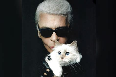 karl lagerfeld cat collection